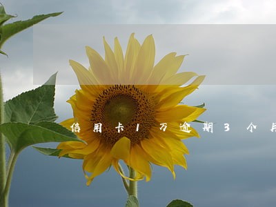 信用卡1万逾期3个月 信用卡1万逾期3个月