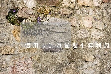 信用卡1万逾期4年利息多少 信用卡1万逾期4年利息多少