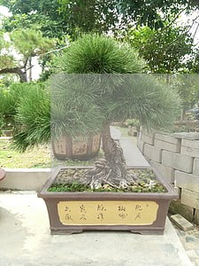 信用卡1万逾期9个月