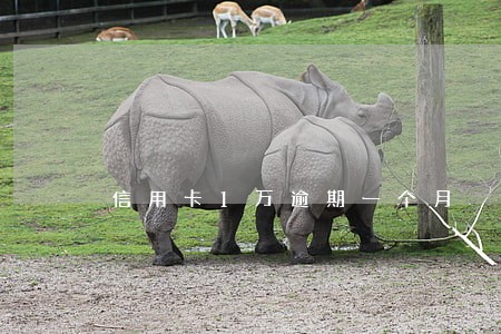 信用卡1万逾期一个月