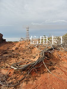 信用卡1万逾期一个月利息要多少 信用卡1万逾期一个月利息要多少