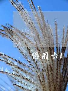 信用卡1万逾期一年还多少钱 信用卡1万逾期一年还多少钱