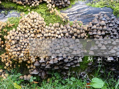 信用卡1万逾期利息3天