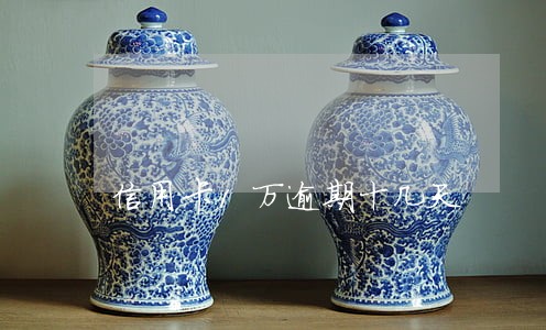 信用卡1万逾期十几天