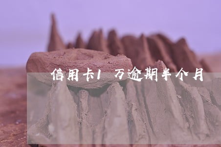 信用卡1万逾期半个月 信用卡1万逾期半个月