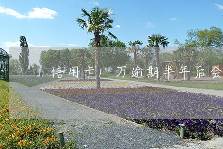 信用卡1万逾期半年后会变成多少 信用卡1万逾期半年后会变成多少
