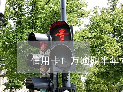 信用卡1万逾期半年立案了 信用卡1万逾期半年立案了