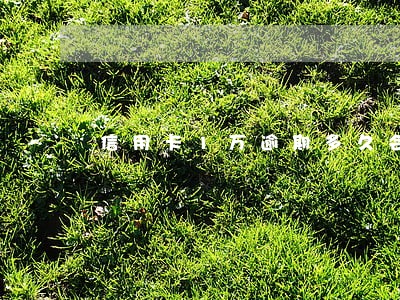 信用卡1万逾期多久会被强制执行 信用卡1万逾期多久会被强制执行