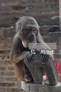 信用卡1万逾期超60天的后果