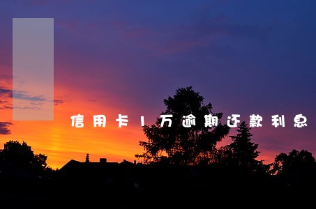 信用卡1万逾期还款利息 信用卡1万逾期还款利息