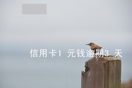 信用卡1元钱逾期3天 信用卡1元钱逾期3天