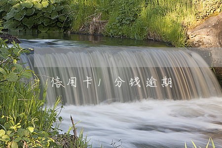 信用卡1分钱逾期
