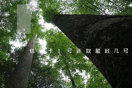 信用卡1号还款最迟几号算逾期