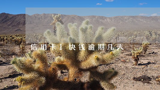 信用卡1块钱逾期几天 信用卡1块钱逾期几天