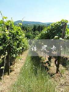 信用卡1次逾期贷款