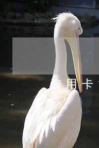 信用卡1毛钱算逾期吗 信用卡1毛钱算逾期吗