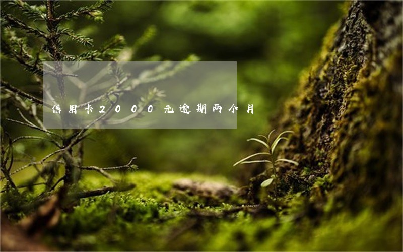信用卡2000元逾期两个月 信用卡2000元逾期两个月