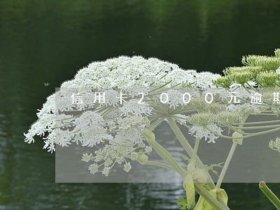 信用卡2000元逾期了怎么办 信用卡2000元逾期了怎么办