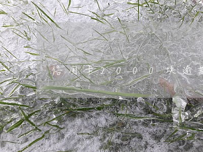 信用卡2000块逾期13天 信用卡2000块逾期13天