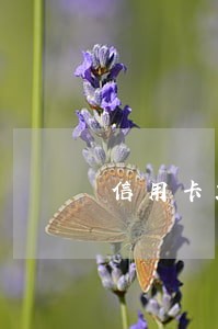 信用卡2000块逾期7个月