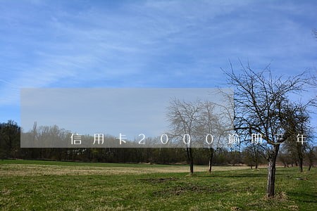 信用卡2000逾期三年