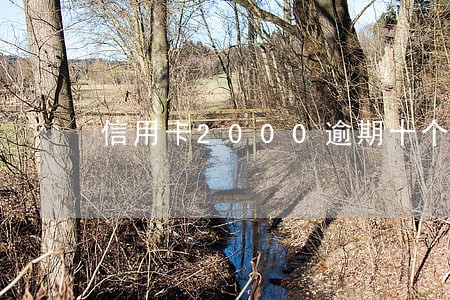 信用卡2000逾期十个月 信用卡2000逾期十个月