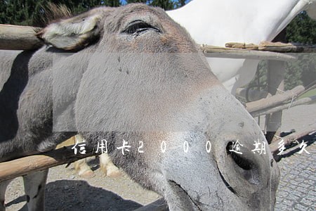 信用卡2000逾期多久上征信 信用卡2000逾期多久上征信