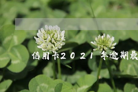 信用卡2021年逾期最新规定 信用卡2021年逾期最新规定
