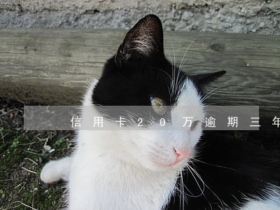 信用卡20万逾期三年利息 信用卡20万逾期三年利息