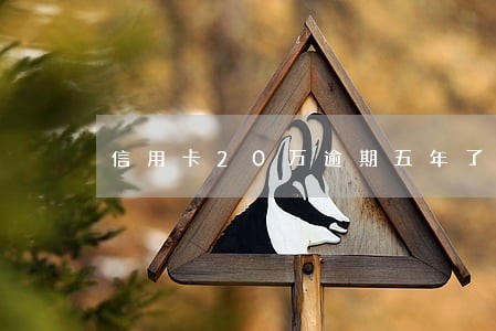 信用卡20万逾期五年了 信用卡20万逾期五年了