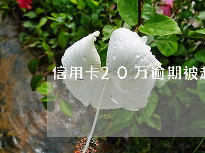 信用卡20万逾期被起诉流程