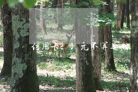 信用卡20元不算逾期 信用卡20元不算逾期