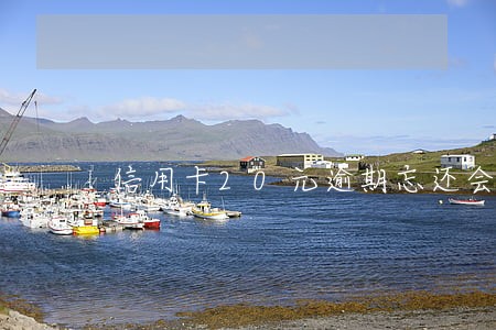 信用卡20元逾期忘还会怎么样