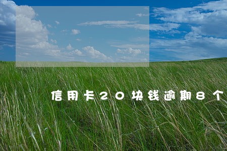 信用卡20块钱逾期8个月 信用卡20块钱逾期8个月