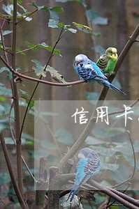 信用卡20块钱逾期了 信用卡20块钱逾期了