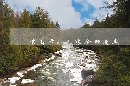 信用卡20张全部逾期 信用卡20张全部逾期
