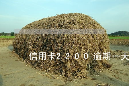 信用卡2200逾期一天利息
