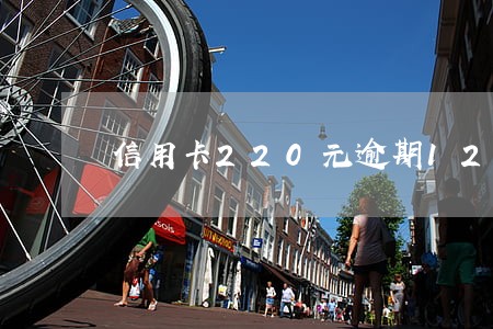 信用卡220元逾期12天 信用卡220元逾期12天