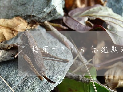 信用卡225元逾期3天