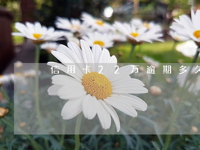 信用卡22万逾期多久会被通缉