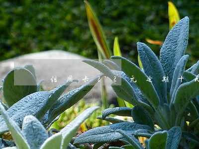 信用卡22元逾期十天