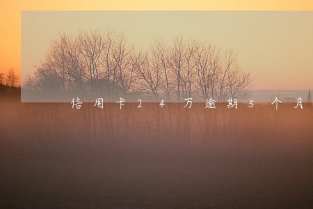 信用卡24万逾期5个月了