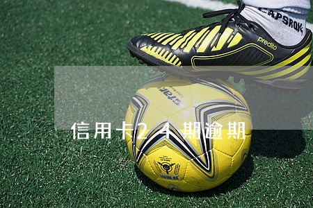 信用卡24期逾期
