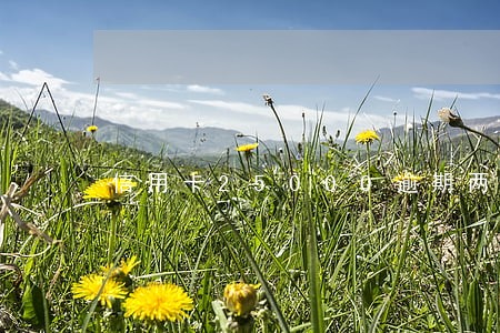 信用卡25000逾期两年了 信用卡25000逾期两年了