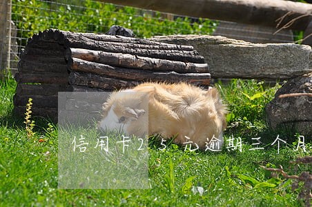 信用卡25元逾期三个月上征信吗 信用卡25元逾期三个月上征信吗