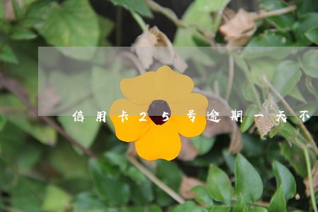 信用卡25号逾期一天不算 信用卡25号逾期一天不算