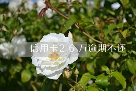 信用卡26万逾期不还 信用卡26万逾期不还