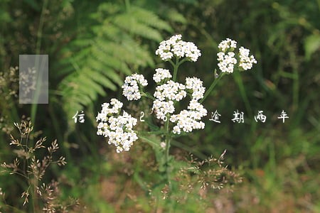 信用卡26万逾期两年