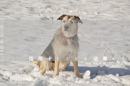 信用卡2700逾期4个月 信用卡2700逾期4个月