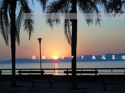 信用卡277未还算逾期吗 信用卡277未还算逾期吗